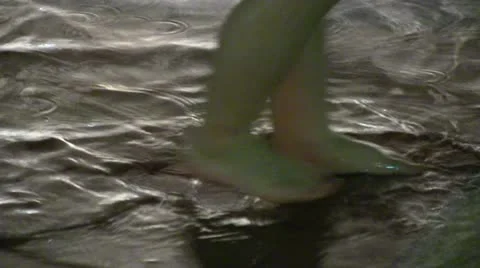 Tiny feet splashing Video stock 12168971