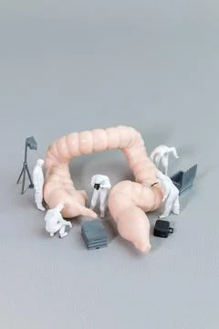 Tiny figures in hazmat suits examine a model of the human intestine Foto stock
