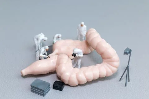 Tiny figures in hazmat suits examine a model of the human intestine Stock Photos