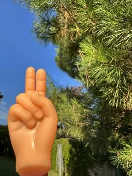 Tiny finger puppet hand gesturing peace sign against pine tree and blue sky Stock Photos