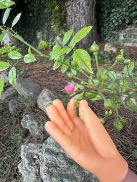 Tiny finger puppet hand pinching flower leaf Stock Photos