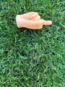 Tiny finger puppet hand showing middle finger, lying on the grass Stock Photos