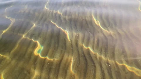 Tiny fish group over sand in transparent sea water Stockbeeldmateriaal 319073078