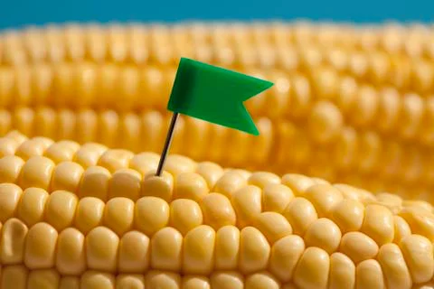 Tiny flag in sweet corn Stock Photos