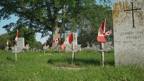 Tiny Flags wave at Canadian Memorial Cemetary Video stock 111328028