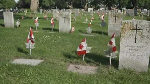 Tiny Flags wave at Canadian War Memorial. Video stock 111328026
