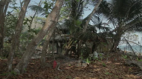 A tiny flame crackles near a rustic house — a simple act of survival in the Stock Footage 312097742