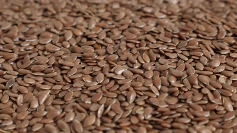 Tiny flax Linum usitatissimum seed 4K video Stock Footage 90078946