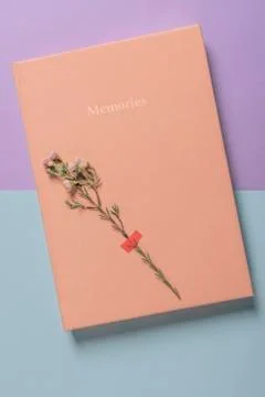 Tiny flower glued on the notebook cover Stock Photos
