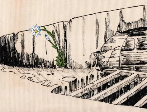 Tiny flower growing up from the street gutter Stock Illustration