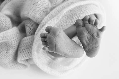 The tiny foot of a newborn baby. Soft feet of a new born in a wool blanket. Stock Photos