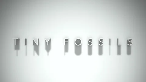 Tiny fossils 3D title animation with shadows on a white background Stock Footage 297999869