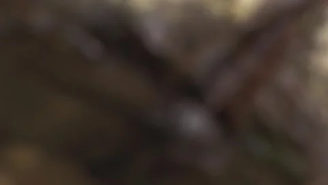 Tiny fountain Stock Footage 315790314