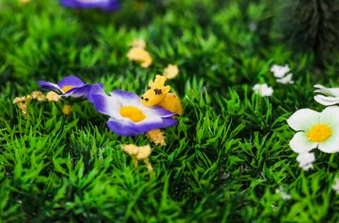 Tiny giraffe smelling artificial flower Stock Photos