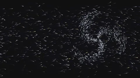 Tiny glowing particles swirl and dance in mesmerizing cosmic vortex motion. Stock Footage 340971340