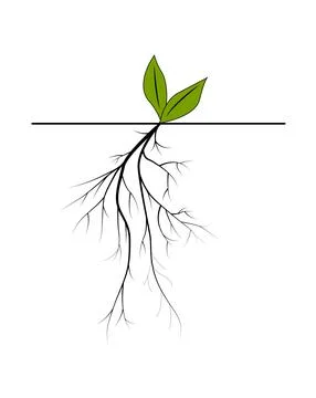 Tiny green leaves sprout above ground Stock Illustration