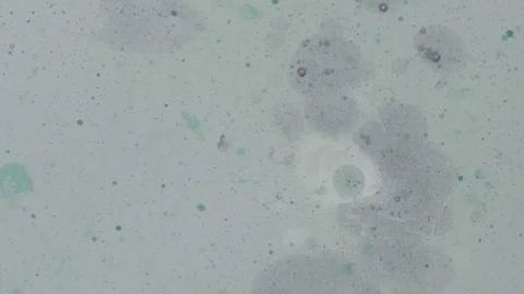 Tiny Green Particles in Grey Liquid Background Stock Footage 77780562