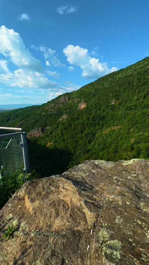 Tiny green shoot clings to rugged stone. Sokolica rock, Serbia. Vertical Stock Footage 341132337