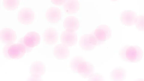Tiny grey bubbles of hyaluronic acid are moving spontaneously Stock Footage 167325813