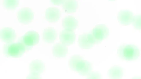 Tiny grey bubbles of hyaluronic acid are moving spontaneously 库存影片 197083941