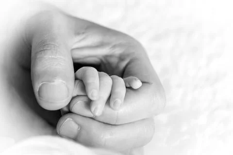 Tiny hand Stock Photos