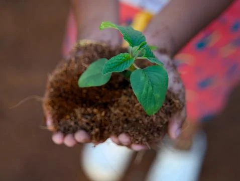 Tiny Hands Big Future Stock Photos