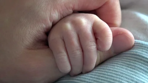 Tiny Hands, New Born Baby, Family bonding Stock Footage 253101688