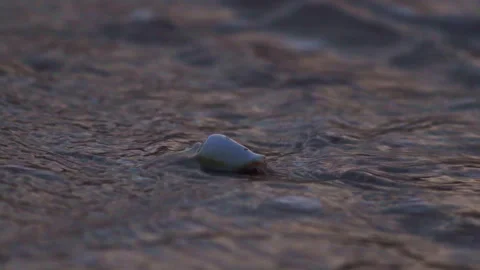 Tiny hermit crab with scavenged shell crawling on sand hit by sea wave. 스톡 동영상 254067926