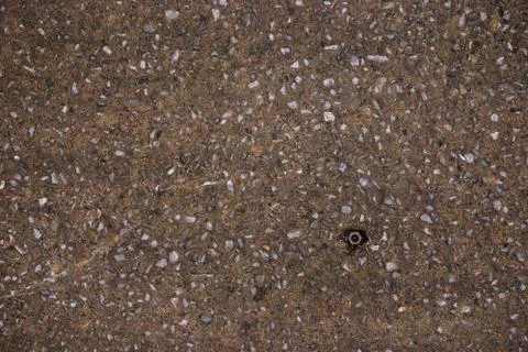 Tiny of hexagon nut on the concrete floor Stock Photos