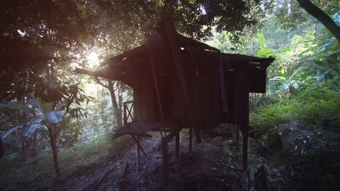 Tiny House for Agricultural Workers on Rubber Plantation, with Sound Stock Footage 73990042