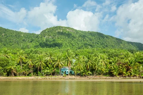 Tiny house on the island Stock Footage 51113916