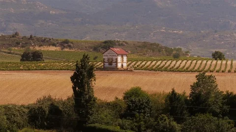 Tiny House on vine yard in Haro, La Rioja, Spain Stock Footage 97986109