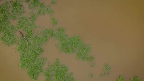 Tiny indigenous canoe crossing a mound of floating algae in the Orinoco Stock Footage 145624844