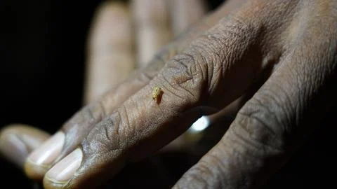 Tiny Insect Perched on Human Hand at Night Stock Photos