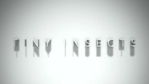 Tiny insects 3D title animation with shadows on a white background Stock Footage 297903790