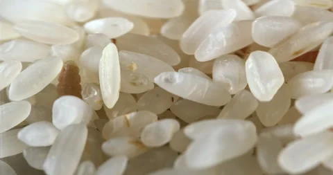 Tiny Intruders Stock Footage 246403027