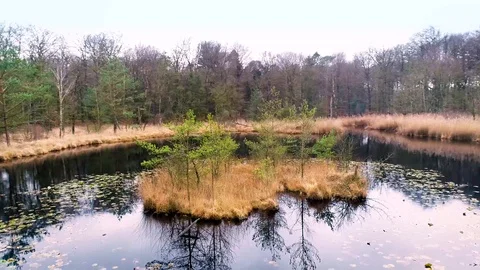 Tiny Island on Lake, Rotating Shot - Heidehuizen, Friesland, Holland – 4K Drone Stock-Footage 126691501