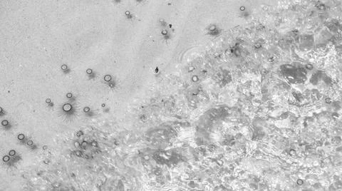Tiny jelly fish, floating in the water, Balck and White Stock Photos