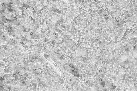 Tiny jelly fish, floating in the water, Balck and White Stock Photos