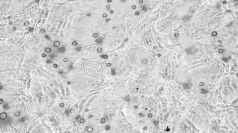 Tiny jelly fish, floating in the water, Balck and White Stock Photos