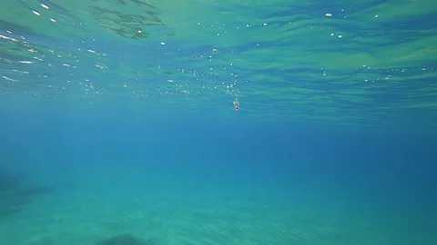 Tiny jellyfish bouncing in waves Video stock 138654756