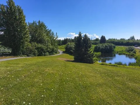 Tiny lake nature view Stock Photos