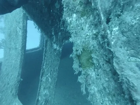 Tiny lobster on MV Karwela wreck at 40m deep -scuba diving in Gozo,  Malta 動画素材 83426153