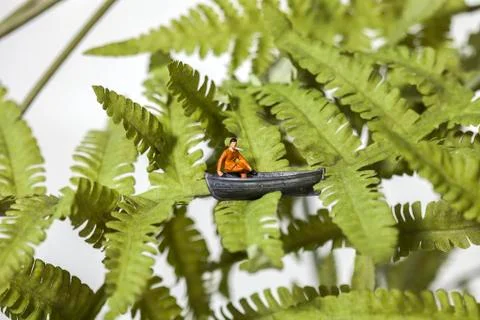 Tiny man sitting in a boat on a tree Stock Photos