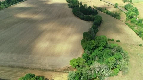 Tiny Meandering River Forming a Green Ribbon in Yellow Fields - France 4K Drone 스톡 동영상 259848204