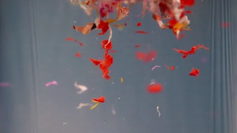 Tiny microplastic pieces drift downward into water in slow motion. Pollutio.. Video stock 290353989
