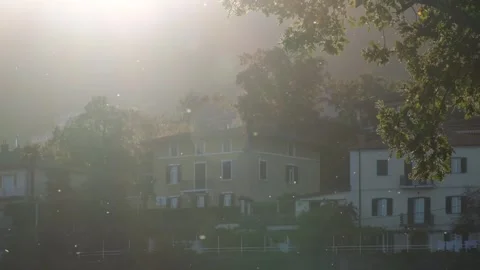 Tiny midges flying in beautiful backlight against mediterranean houses Video stock 307987476