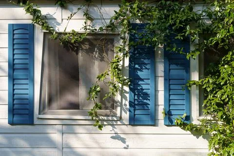 Tiny mobile house window with blue shutters and green leaves growing on Stock Photos