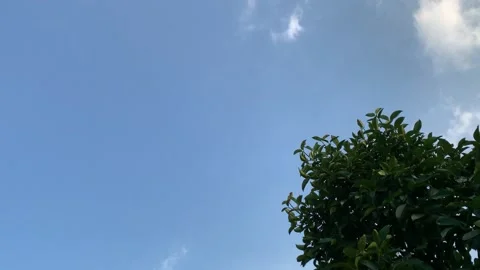 Tiny moon on the afternoon sky Stock Footage 148803254