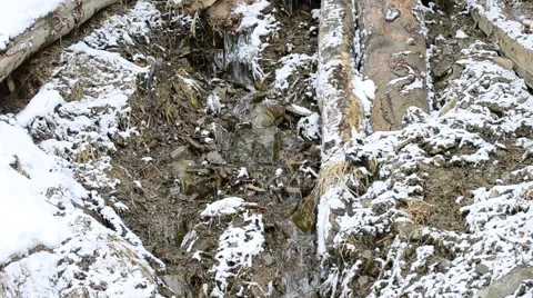 Tiny mountain brook flows on stony snowy soil in winter Stock Footage 52311240